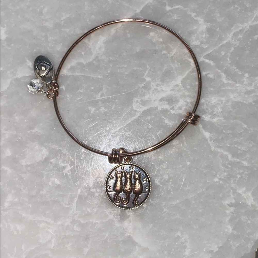Alex and Ani cats & stars bracelet - Rose Gold